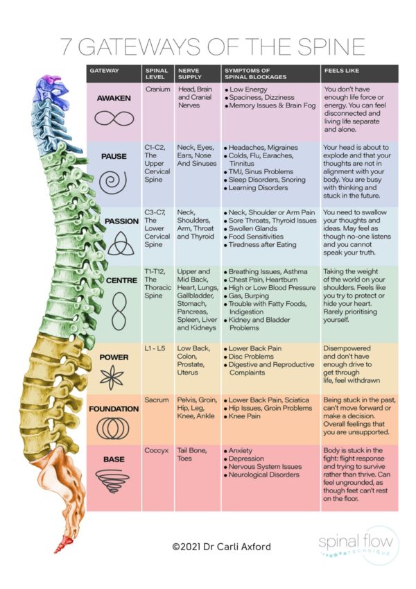 Spinal Flow Course of 12 Treatments - Gift Voucher - Image 2